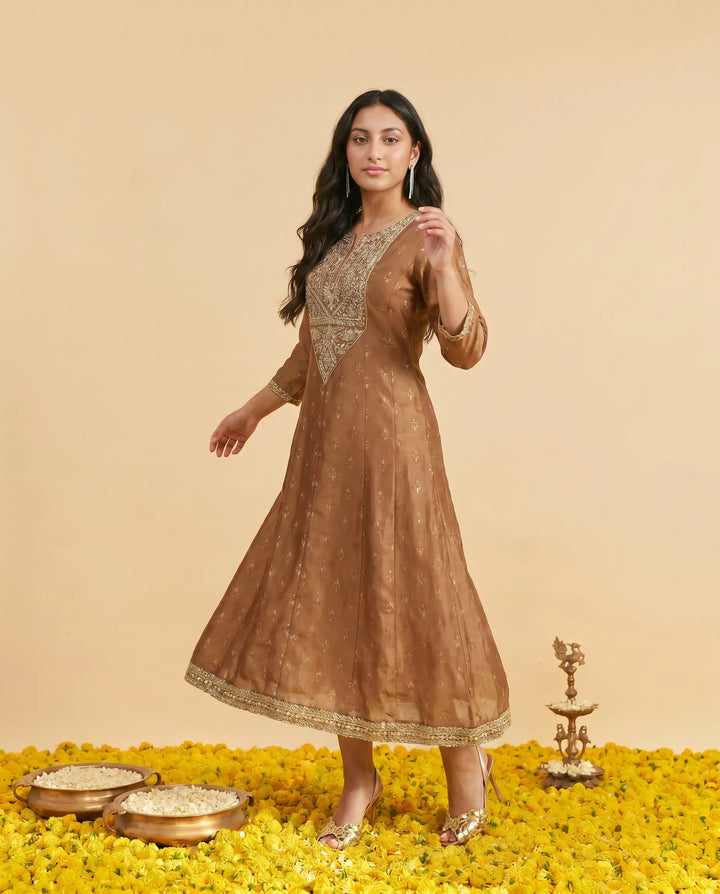 Brown Embriodered Rayon Maxi Dress